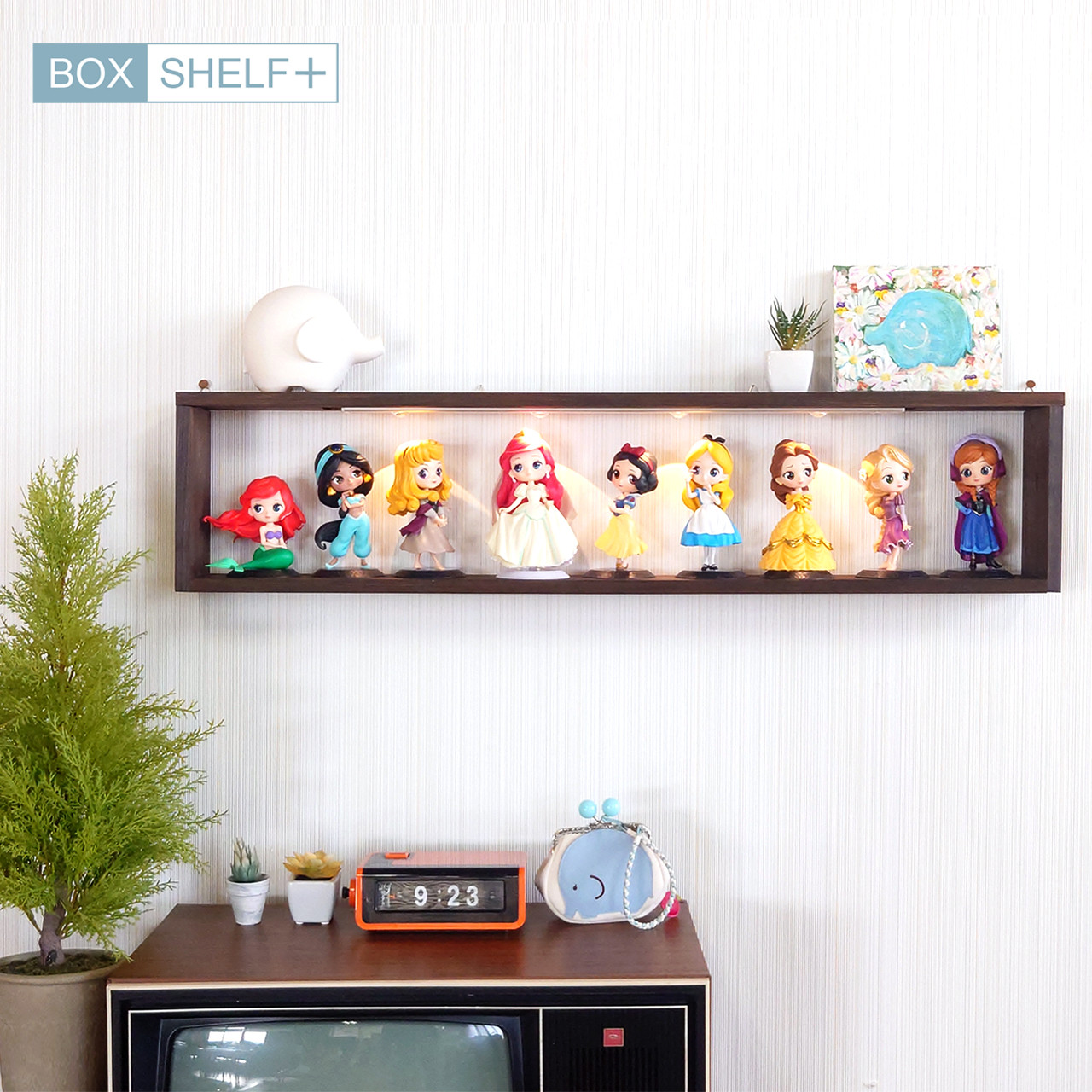 BOX SHELF＋