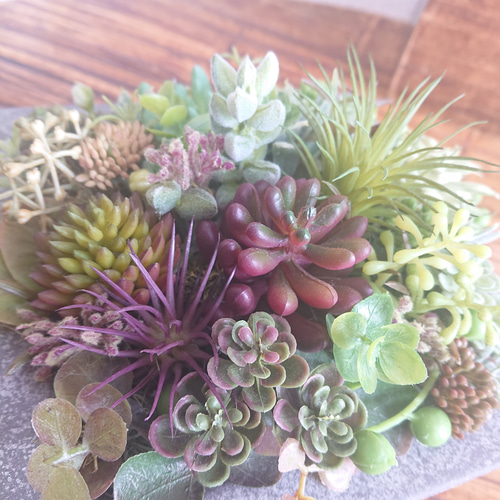 多肉植物》*セダムの寄せ植え☆ブリキスクエア* 多肉植物 yannn 通販