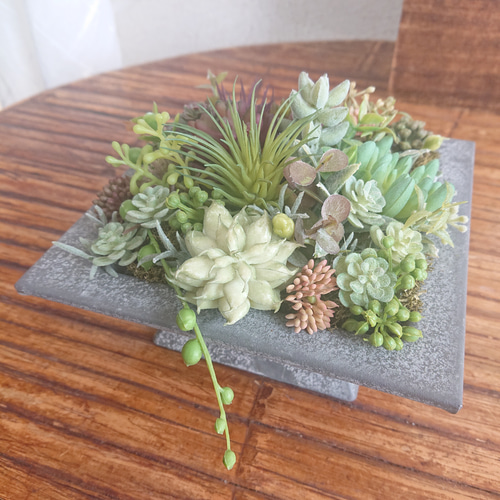 多肉植物》*セダムの寄せ植え☆ブリキスクエア* 多肉植物 yannn 通販