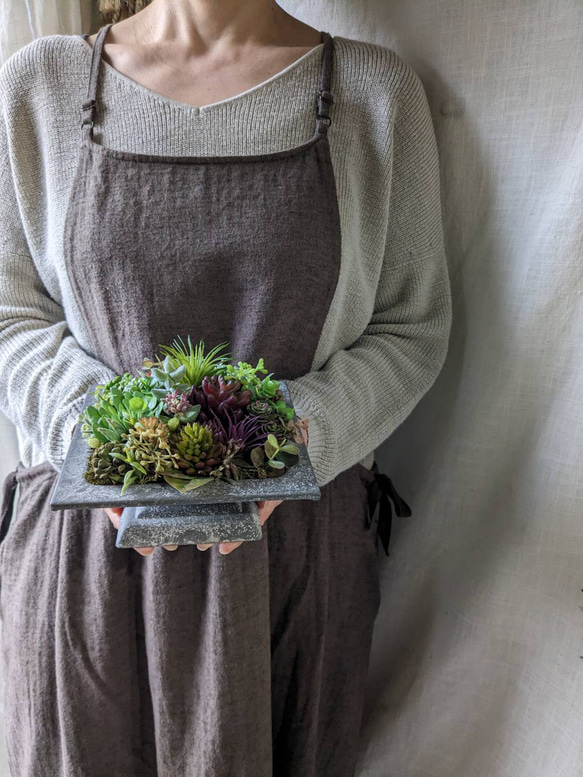 《多肉植物》*セダムの寄せ植え☆ブリキスクエア* 9枚目の画像