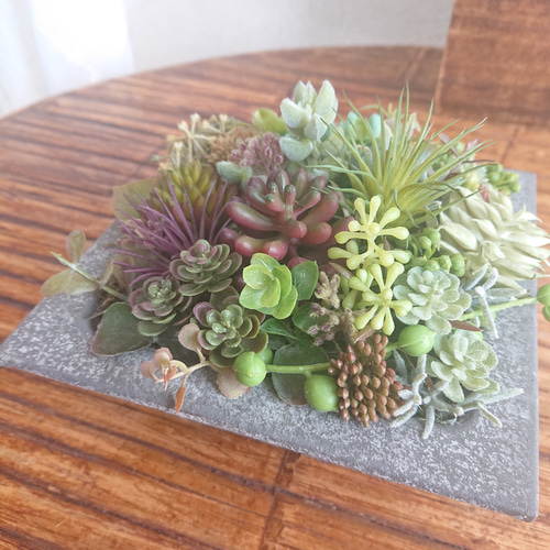 多肉植物》*セダムの寄せ植え☆ブリキスクエア* 多肉植物 yannn 通販