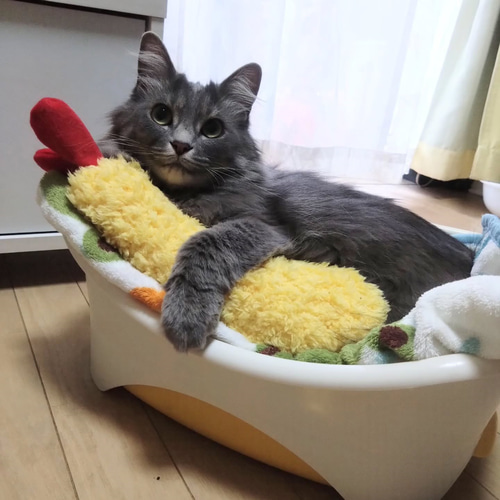 猫のおもちゃ 国産またたび入り えび天ケリケリ エビフライけりけり