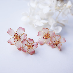 微微櫻花飾品耳環/耳環 第3張的照片