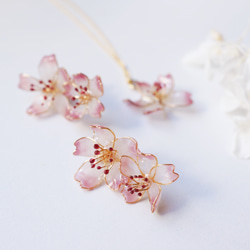 ほんのり桜jewelryネックレス 7枚目の画像