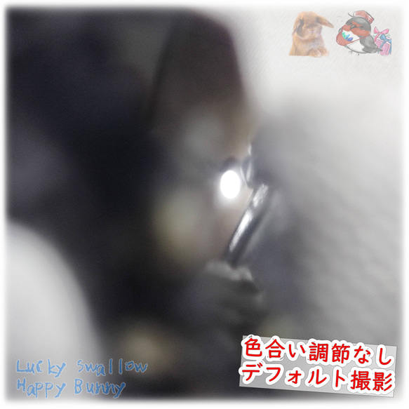 ◆ ” シュテルンルーラーズ ” 天然 高品質 アイオライト 菫青石 ダイクロアイト Iolite No.5360 10枚目の画像