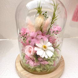 プリザーブドフラワー桜ガラスドームアレンジ ピンク系 結婚新築開店