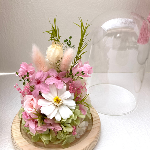 プリザーブドフラワー桜ガラスドームアレンジ ピンク系 結婚新築開店