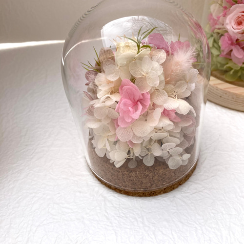 プリザーブドフラワー桜ガラスドームプチアレンジ ピンク系 春の