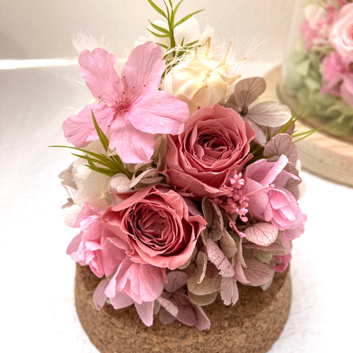 プリザーブドフラワー桜ガラスドームプチアレンジ ピンク系 春の