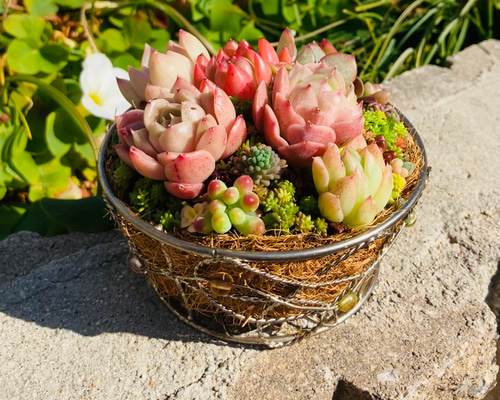 86a4d89d45c39d9637f9ee163b8e37