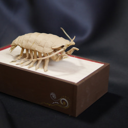“巨型甲蟲”寶箱 第5張的照片