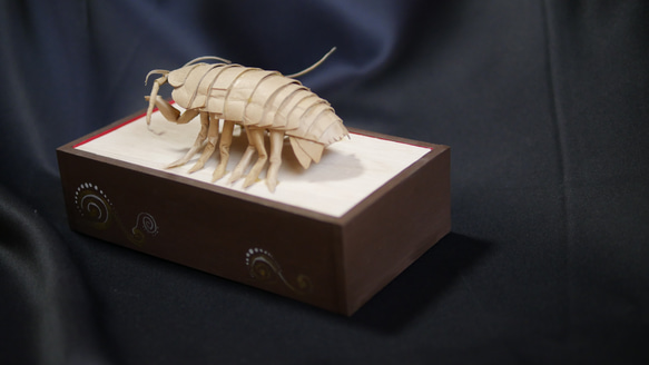 “巨型甲蟲”寶箱 第19張的照片