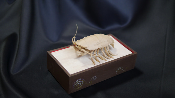 “巨型甲蟲”寶箱 第6張的照片