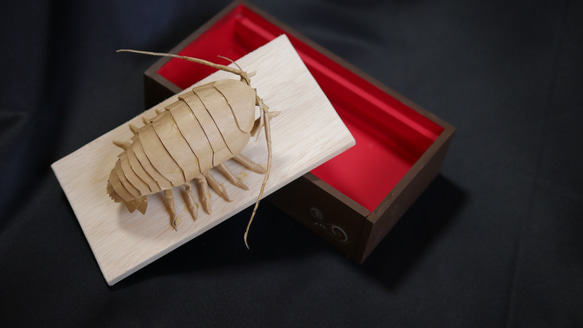 “巨型甲蟲”寶箱 第9張的照片