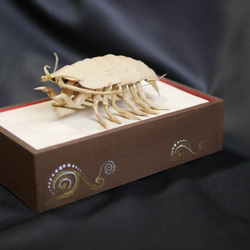 “巨型甲蟲”寶箱 第3張的照片