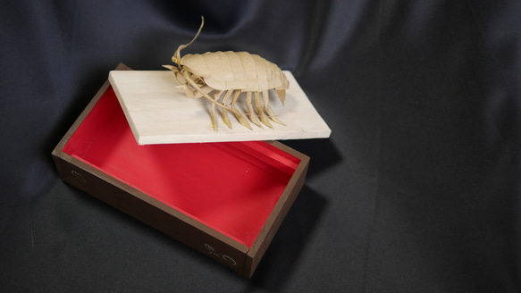 “巨型甲蟲”寶箱 第11張的照片
