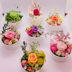 プリザーブドフラワー プチブリザードフラワー7個セット プリザーブドフラワー Dona