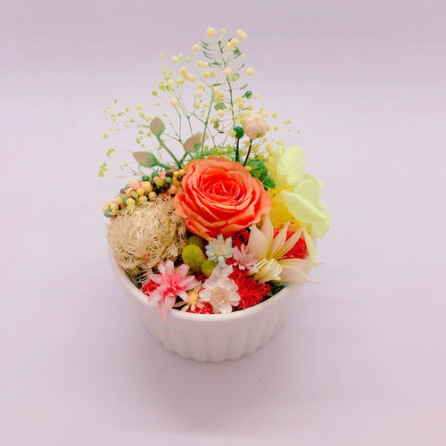 プリザーブドフラワー　まとめ売り プリザーブドフラワーボックス コンパクト（All 9colors