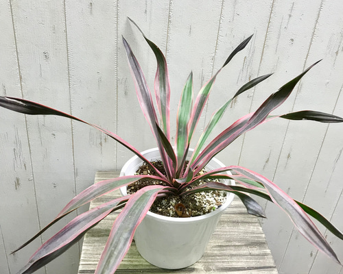 8ab6f4a71dd42eac59ad1d1af03190