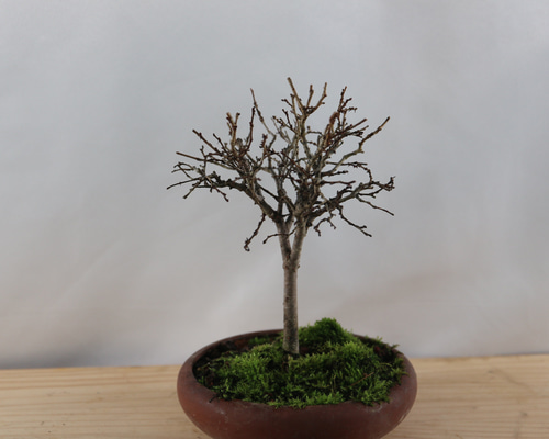 1a136fccc5874504b602f178b01aba