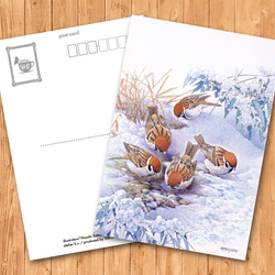 ポストカード　「雪スズメ」 1枚目の画像