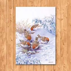 ポストカード　「雪スズメ」 2枚目の画像