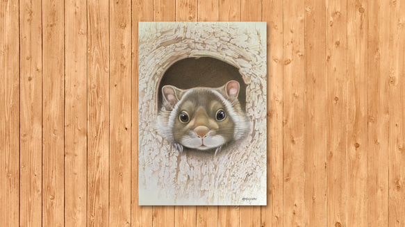 ポストカード　「ムササビ」 2枚目の画像