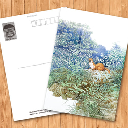 ポストカード　「イタチ」 1枚目の画像