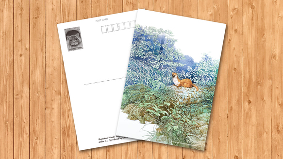 ポストカード　「イタチ」 1枚目の画像