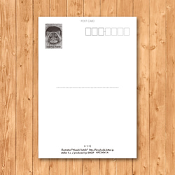 ポストカード　「イタチ」 3枚目の画像