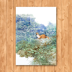 ポストカード　「イタチ」 2枚目の画像