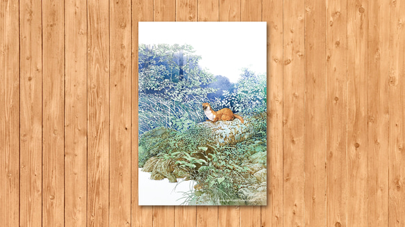 ポストカード　「イタチ」 2枚目の画像