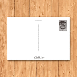 ポストカード　「ヤイロチョウ」 3枚目の画像