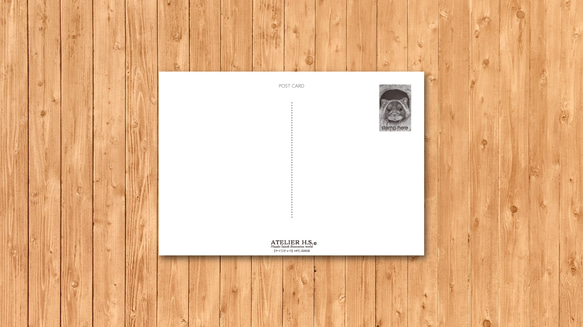 ポストカード　「ヤイロチョウ」 3枚目の画像