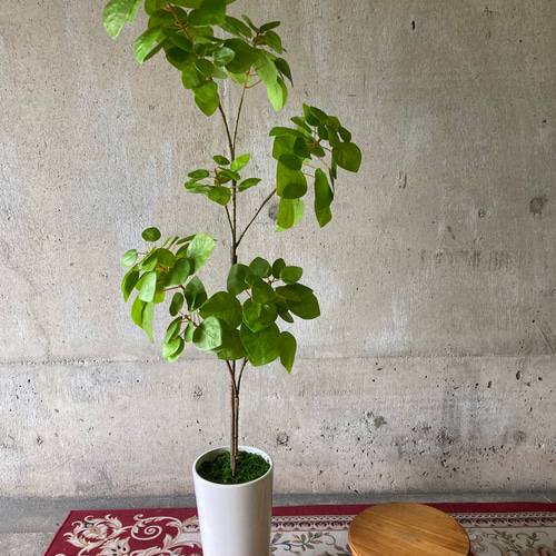 光触媒　人工観葉植物　ウォールグリーン　フェイクグリーン　壁掛けカサブランカ