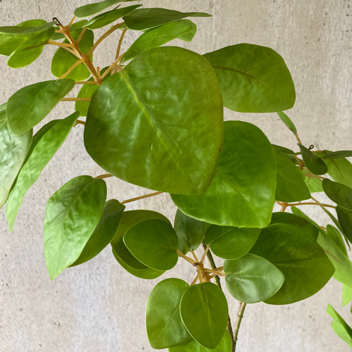 光触媒　人工観葉植物　ウォールグリーン　フェイクグリーン　ナンキンハゼ特大観葉 光触媒 人工観葉植物 ウォールグリーン フェイクグリーン ナンキンハゼ