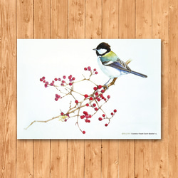 ポストカード　「シジュウカラ」 2枚目の画像