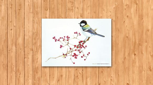 ポストカード　「シジュウカラ」 2枚目の画像