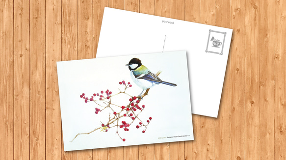 ポストカード　「シジュウカラ」 1枚目の画像