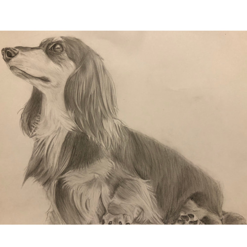 鉛筆で描くペット似顔絵 絵画 似顔絵屋TAKA 通販 15344036