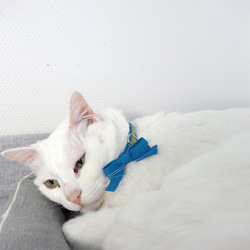 猫の首輪　シェニールリボン　ブルー×グリーン 6枚目の画像