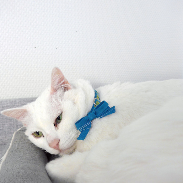猫の首輪　シェニールリボン　ブルー×グリーン 6枚目の画像