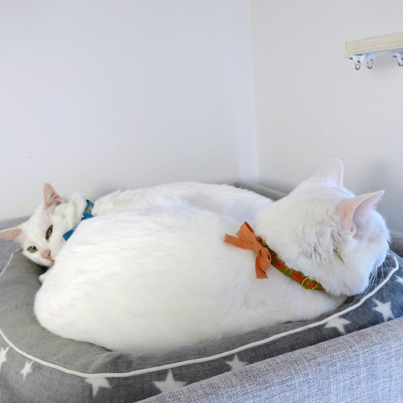 猫の首輪　シェニールリボン　グリーン×ピンク 8枚目の画像