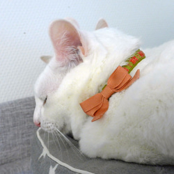 猫の首輪　シェニールリボン　グリーン×ピンク 6枚目の画像