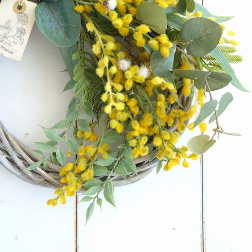 ミモザ2025 大人のミモザ グリーンリース ユーカリ リース ERBA 通販