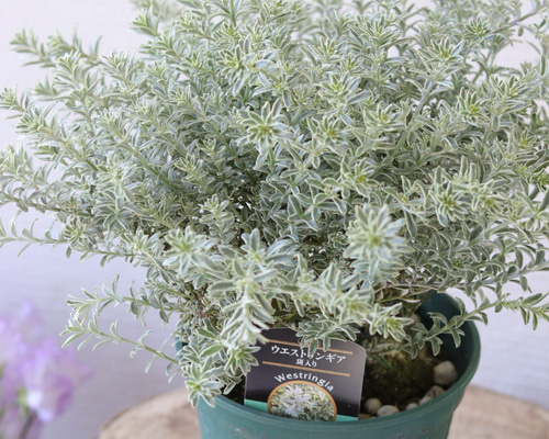 22ef294f8c430ad813d35a3d259edc