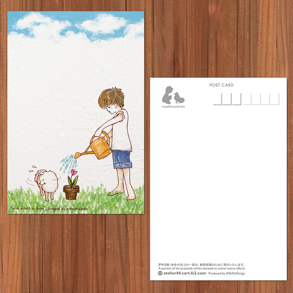 選べるポストカード（with WANKO 四季シリーズ）4枚　組み合わせ自由 6枚目の画像