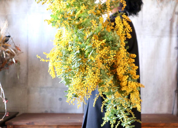 そのままドライになるミモザ小　mimosa　ユーカリ　花束　ふわふわ　香り　 4枚目の画像