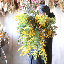 そのままドライになるミモザ小　mimosa　ユーカリ　花束　ふわふわ　香り　 1枚目の画像