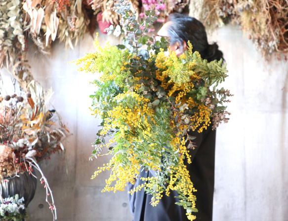 そのままドライになるミモザ小　mimosa　ユーカリ　花束　ふわふわ　香り　 1枚目の画像